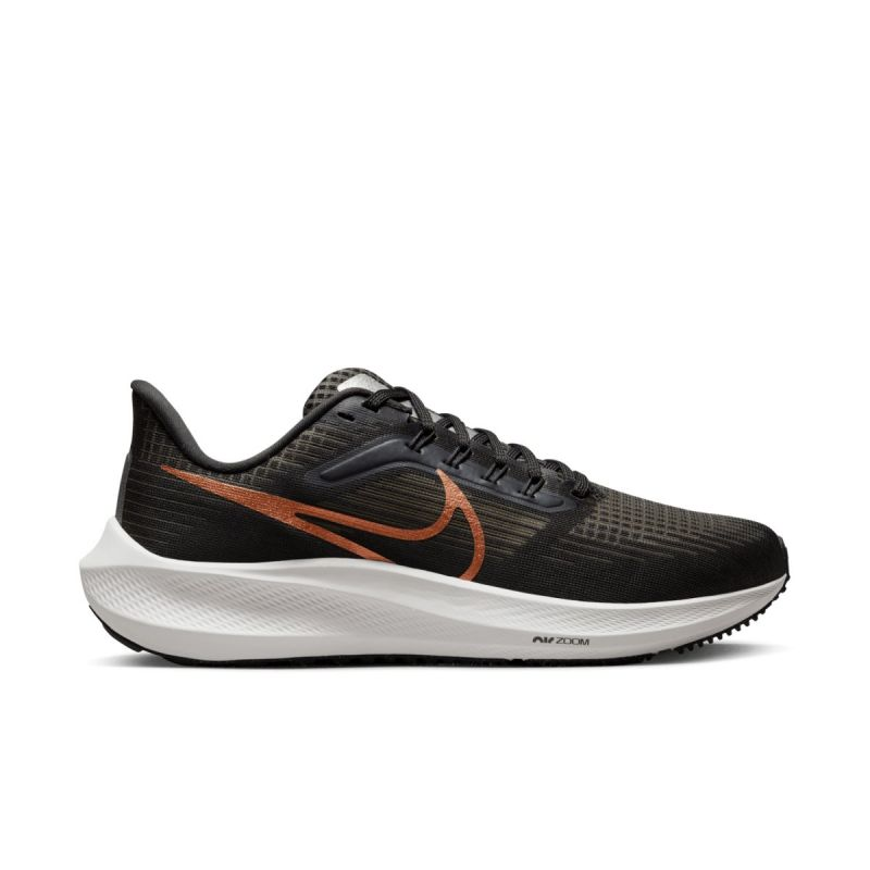 Nike Air Zoom Pegasus 39 W DH4072-007 shoes